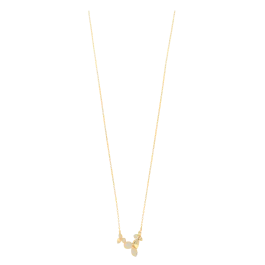 Colar LouiseNor Dourado