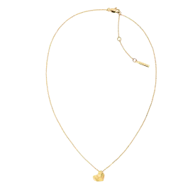 Colar Senhora com Coração Dourado