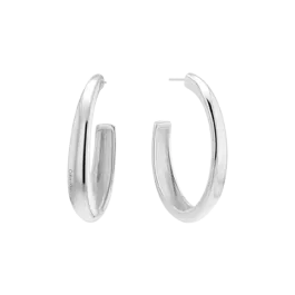 Brincos Argola Senhora em Aço