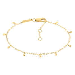 Pulseira Senhora em Prata Dourada