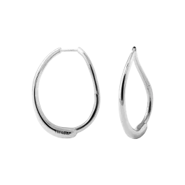 Brincos Halo Silver