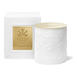 Vela porcelana Birmaide Oud 220g
