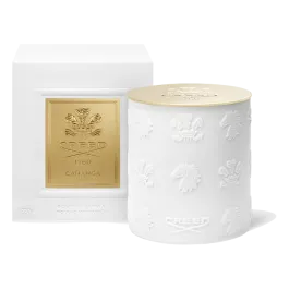 Vela Porcelana Cananga 220g