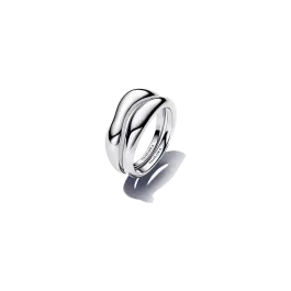 Anéis Prateados Conjugáveis