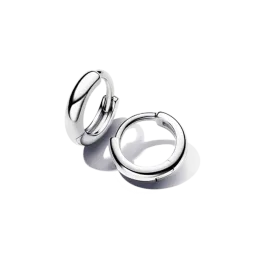 Brincos Prateados Argola