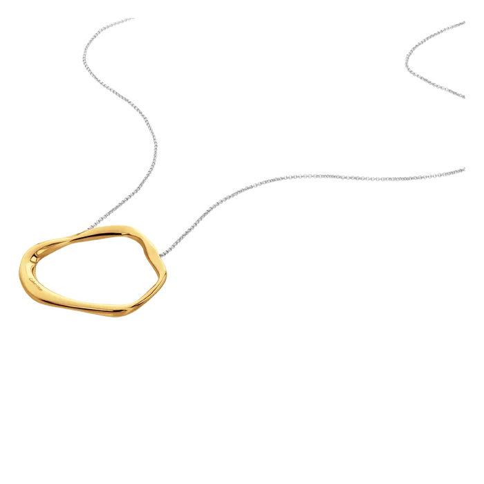 Colar Senhora em Aço e Dourado