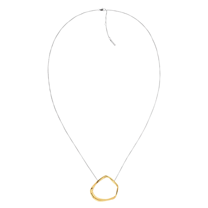 Colar Senhora em Aço e Dourado