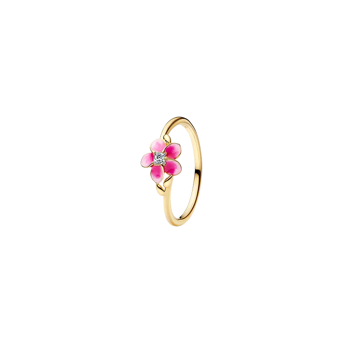 Anel Moana