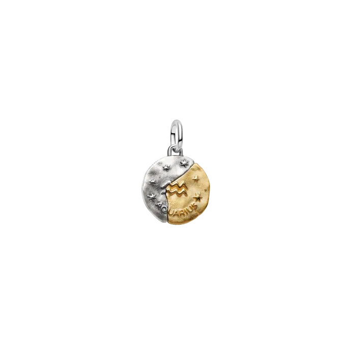 Conta Medalhão Zodíaco Aquário