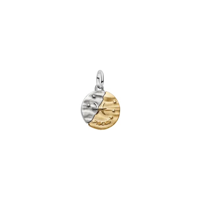 Conta Medalhão Zodíaco Peixes