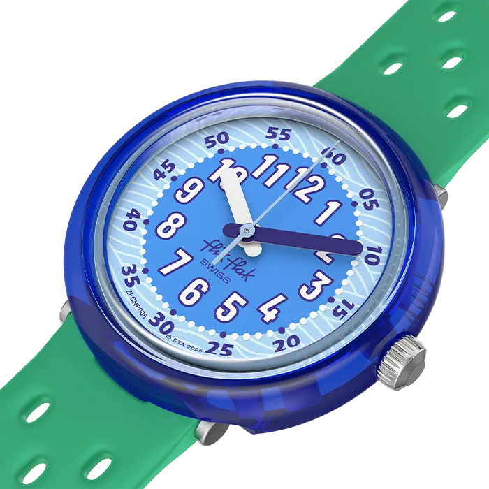 ZFCNP006