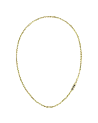 Colar Homem malha aço dourado SPELT