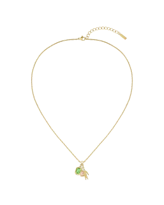 Colar Mulher A&ccedil;o Dourado Deva
