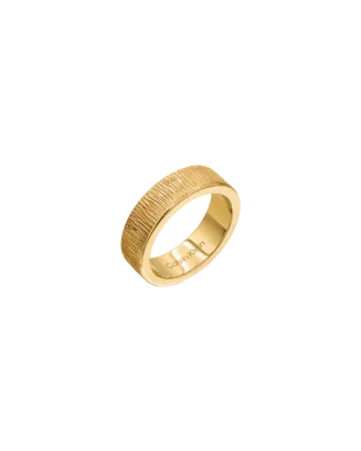 Anel Senhora Dourado