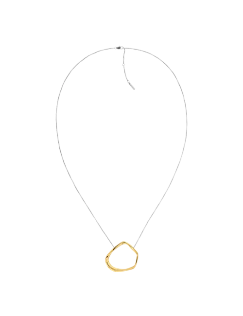 Colar Senhora em Aço e Dourado