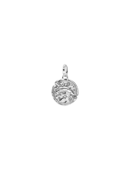 Conta Medalhão Golfinho