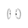 294649C01