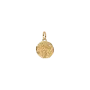 Conta Medalhão Trigo