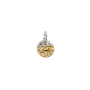 Conta Medalhão Zodíaco Sagitário