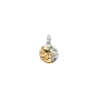Conta Medalhão Zodíaco Aquário