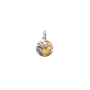 Conta Medalhão Zodíaco Aquário