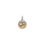 Conta Medalhão Zodíaco Carneiro