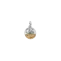 Conta Medalhão Zodíaco Leão