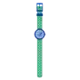 ZFCNP006