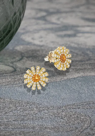 damiani