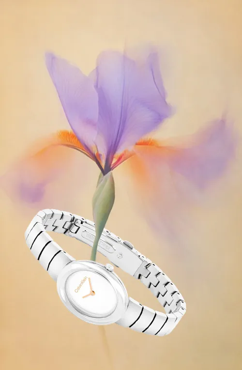 Relogios Calvin klein