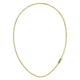 Colar Homem malha aço dourado SPELT