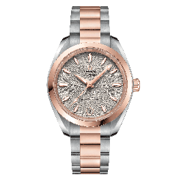 Seamaster Aqua Terra