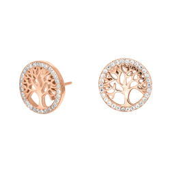 Brincos CAIA Dourados Rosa