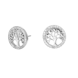 Brincos CAIA Prateados