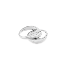 Anel Senhora Duplo em Aço