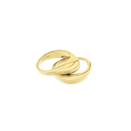 Anel Senhora Duplo Dourado