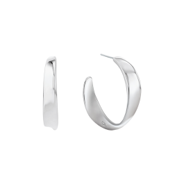 Brincos Argola Senhora em Aço