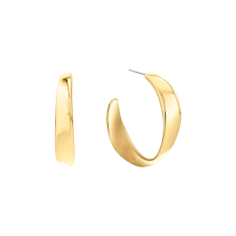 Brincos Argola Senhora em Dourado