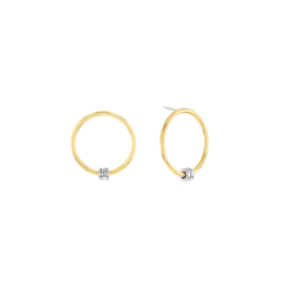 Brincos Senhora em Aço e Dourado