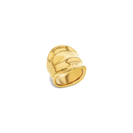 Anel Senhora Dourado