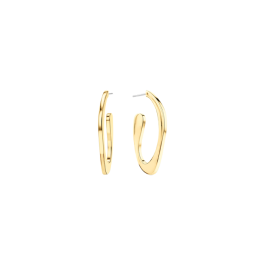 Brincos Senhora Dourado