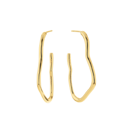 Brincos Senhora em Prata Dourada