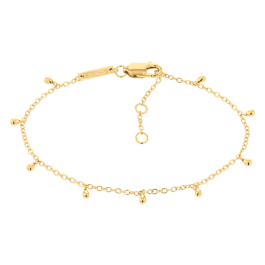 Pulseira Senhora em Prata Dourada