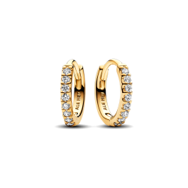 Brincos Argola Dourados com Cristais