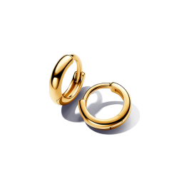 Brincos Dourados Argola Redondos