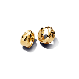 Brincos Argolas Dourados Entrelaçados