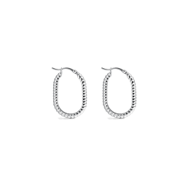 Brincos Rizzo Corda Prateados