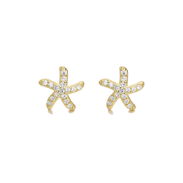 Brincos FIKA Estrela Dourada