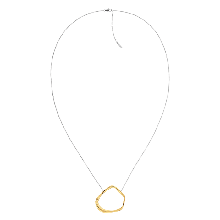 Colar Senhora em Aço e Dourado