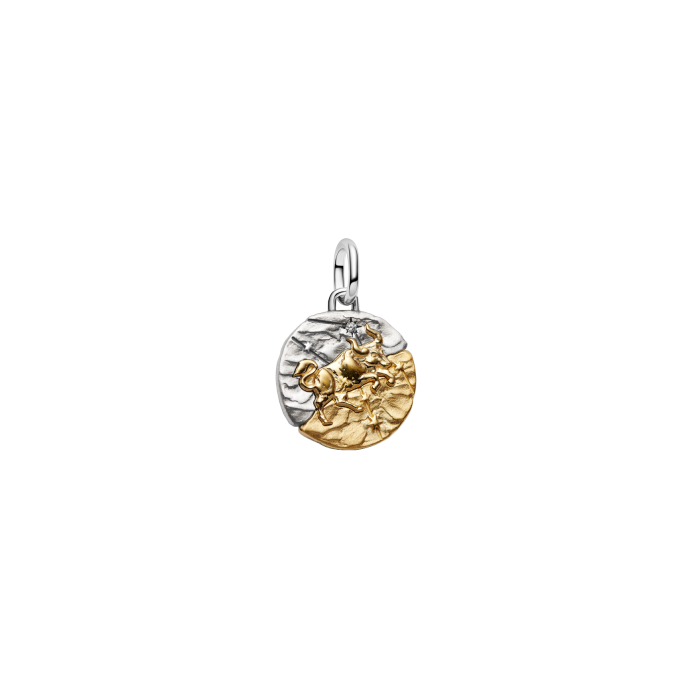 Conta Medalhão Zodíaco Touro